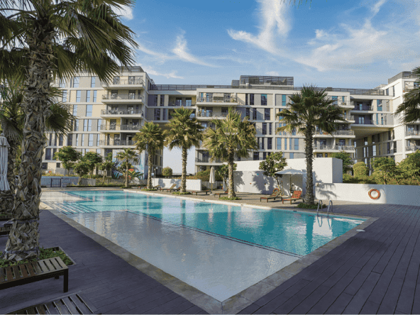 A large swimming pool surrounded by palm trees in the Jannat project in Dubai.